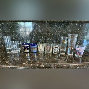 10 Assorted Glass Shot Glass Set